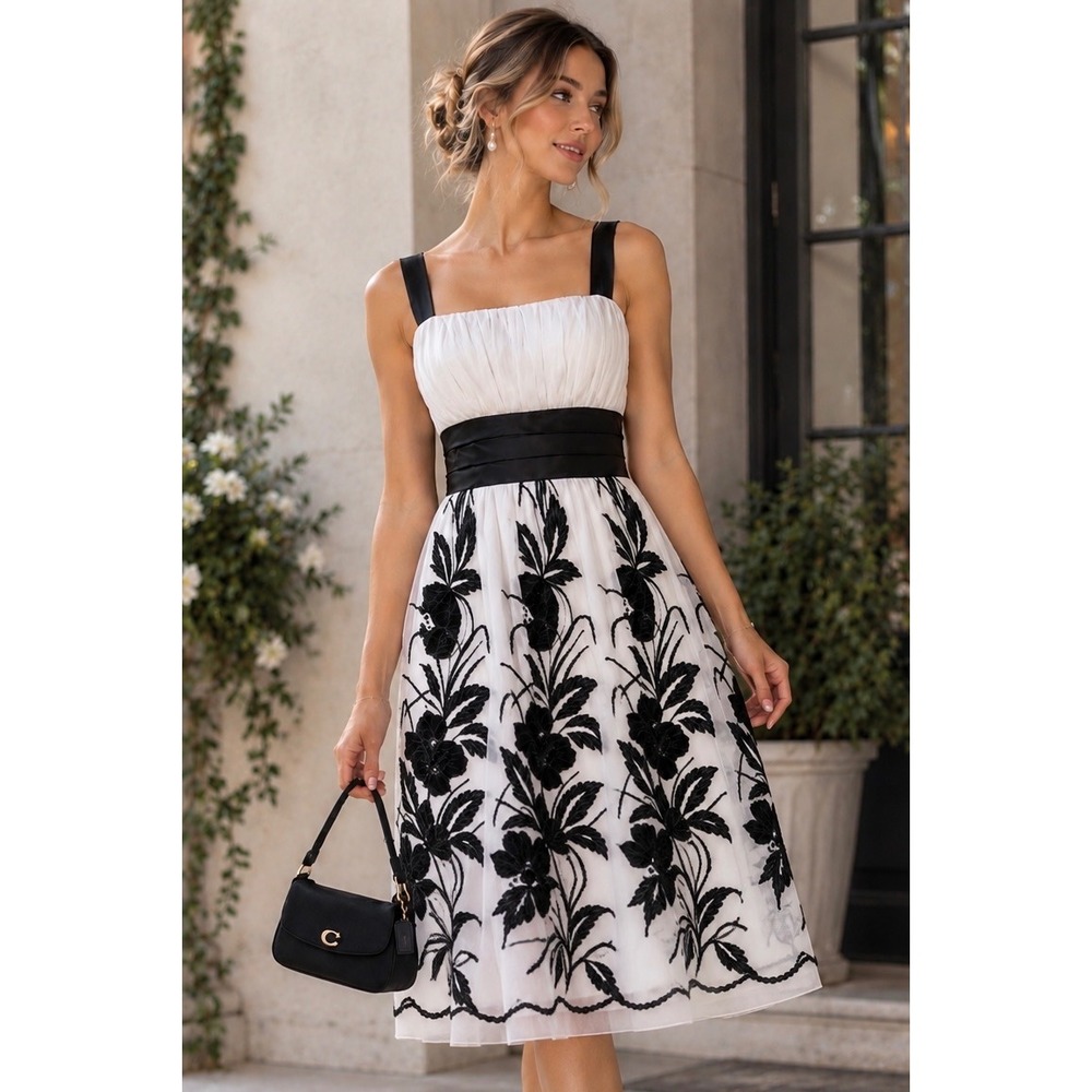 Velvet Mesh Overlay Fit & Flare Y2K Dress Black White Embroidered Formal Event‎